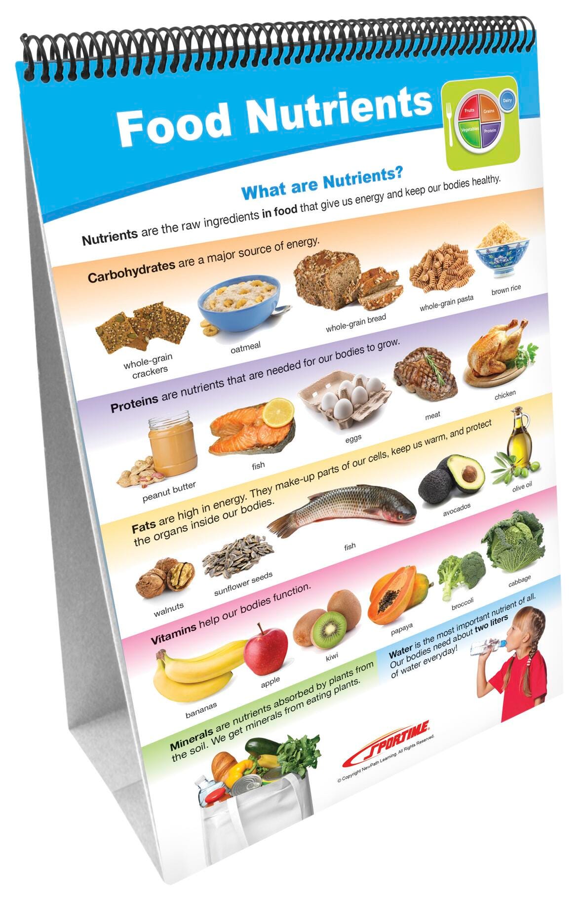 Image for Sportime MyPlate Food Groups Flip Charts, Grades 1 to 4, Set of 10 from School Specialty